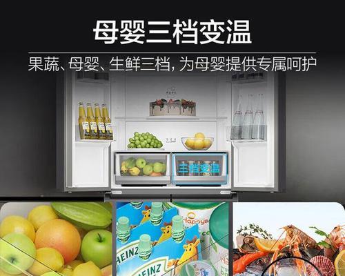 冰箱冷冻能力测试方法大揭秘（了解冰箱冷冻能力测试的步骤与关键指标）